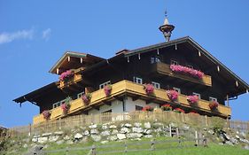 Brandebengut